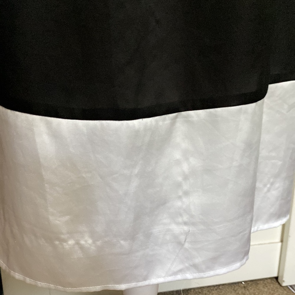 10/$10 Dana Buchman Black & White Lined Dress. EUC Size Large - Picture 4 of 10